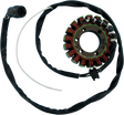 RICK'S MOTORSPORT ELECTRIC Stator - Kawasaki 21-216