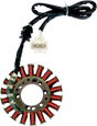 RICK'S MOTORSPORT ELECTRIC Stator - Honda 21-115