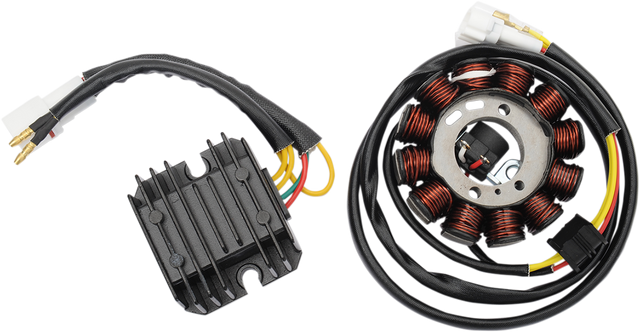 RICK'S MOTORSPORT ELECTRIC Charging Kit - Yamaha 99-400