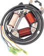 RICK'S MOTORSPORT ELECTRIC High-Output Stator - Suzuki 21-802H