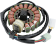 RICK'S MOTORSPORT ELECTRIC Stator - Yamaha 21-916