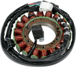 RICK'S MOTORSPORT ELECTRIC High-Output Stator - Yamaha 21-968H
