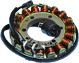 RICK'S MOTORSPORT ELECTRIC Stator - Kawasaki 21-224