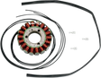 RICK'S MOTORSPORT ELECTRIC Stator - Suzuki 21-309