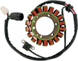 RICK'S MOTORSPORT ELECTRIC Stator - Yamaha 21-917