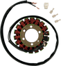 RICK'S MOTORSPORT ELECTRIC Stator - Honda 21-130