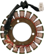 RICK'S MOTORSPORT ELECTRIC Stator - Kawasaki 21-218