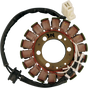 RICK'S MOTORSPORT ELECTRIC Stator - Suzuki 21-314