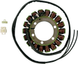 RICK'S MOTORSPORT ELECTRIC Stator - Suzuki 21-316