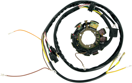 RICK'S MOTORSPORT ELECTRIC Stator 21-553