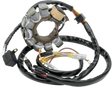RICK'S MOTORSPORT ELECTRIC Stator 21-554
