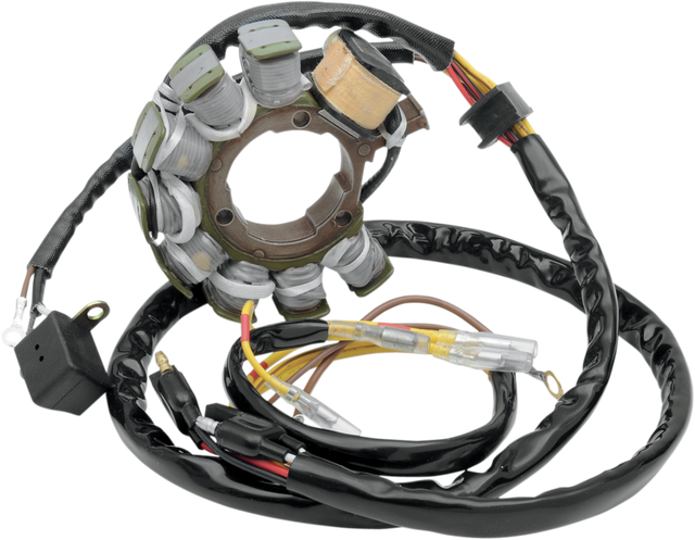 RICK'S MOTORSPORT ELECTRIC Stator 21-554