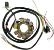 RICK'S MOTORSPORT ELECTRIC Stator 21-555