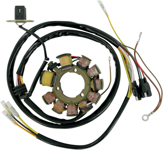 RICK'S MOTORSPORT ELECTRIC Stator 21-555