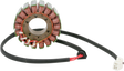 RICK'S MOTORSPORT ELECTRIC Stator - Ducati 21-009