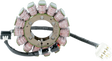 RICK'S MOTORSPORT ELECTRIC Stator - Kawasaki 21-232