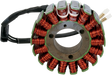 RICK'S MOTORSPORT ELECTRIC Stator - Kawasaki 21-238