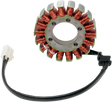 RICK'S MOTORSPORT ELECTRIC Stator - Kawasaki 21-227