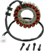 RICK'S MOTORSPORT ELECTRIC Stator - Honda 21-146