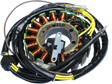RICK'S MOTORSPORT ELECTRIC Stator - Polaris 21-560