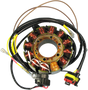 RICK'S MOTORSPORT ELECTRIC Stator - Polaris 21-561