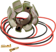 RICK'S MOTORSPORT ELECTRIC Stator - Suzuki 21-811