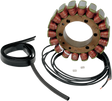 RICK'S MOTORSPORT ELECTRIC Stator - BMW 21-023