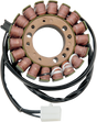 RICK'S MOTORSPORT ELECTRIC Stator - Ducati 21-025