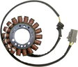 RICK'S MOTORSPORT ELECTRIC Stator - Buell 21-040H