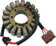 RICK'S MOTORSPORT ELECTRIC Stator - KTM 21-0097
