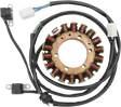 RICK'S MOTORSPORT ELECTRIC Stator - Suzuki 21-337
