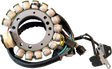 RICK'S MOTORSPORT ELECTRIC Stator - Yamaha 21-933