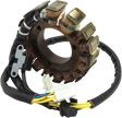 RICK'S MOTORSPORT ELECTRIC Stator - Suzuki 21-824