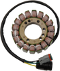 RICK'S MOTORSPORT ELECTRIC Stator - Ski-Doo 24-105