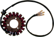 RICK'S MOTORSPORT ELECTRIC Stator - Kawasaki 21-203