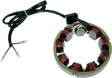 RICK'S MOTORSPORT ELECTRIC Stator - Kawasaki 21-208