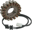 RICK'S MOTORSPORT ELECTRIC Stator - Kawasaki 21-209