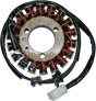 RICK'S MOTORSPORT ELECTRIC Stator - Kawasaki 21-210