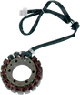RICK'S MOTORSPORT ELECTRIC Stator - Yamaha 21-405