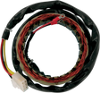 RICK'S MOTORSPORT ELECTRIC Stator - Honda 21-101