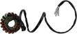 RICK'S MOTORSPORT ELECTRIC Stator - Suzuki 21-302