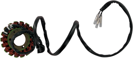 RICK'S MOTORSPORT ELECTRIC Stator - Suzuki 21-302