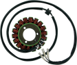 RICK'S MOTORSPORT ELECTRIC Stator - Suzuki 21-303