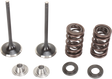 MOOSE OFFROAD Valve and Spring Kit - Kawasaki KX450F M40-40380