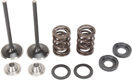 MOOSE OFFROAD Valve and Spring Kit - KTM RFS Engines 400 cc - 560 cc M96-96070