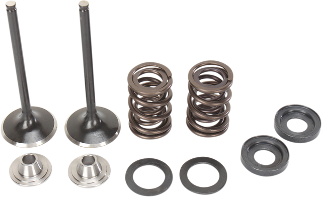 MOOSE OFFROAD Valve and Spring Kit - KTM RFS Engines 400 cc - 560 cc M96-96070