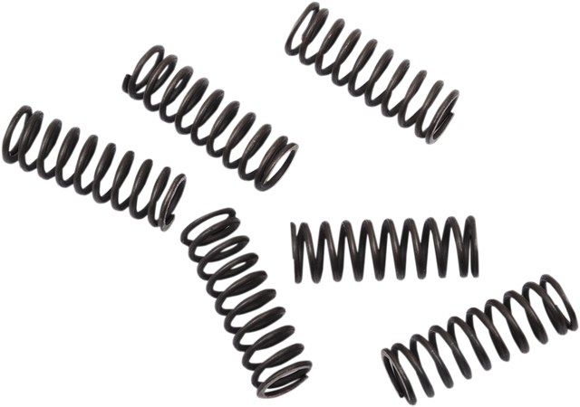 Moose Offroad Clutch Springs for Honda CRF 450 – Part FHDS155-6, Enhanced Performance and Durability