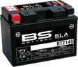 BS BATTERY Battery - BTZ14S (YTZ) 300638-1