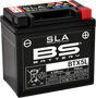 BS BATTERY Battery - BTX5L (YTX) 300670