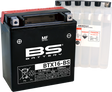 BS BATTERY Battery - BTX16-BS (YTX) 300609